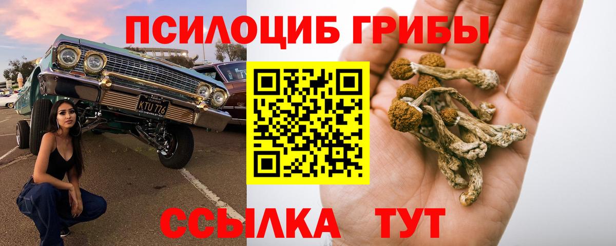 Галлюциногенные грибы ЛСД  Вход с VPN  Галлюциногенные грибы Magic Shrooms  Донецк 